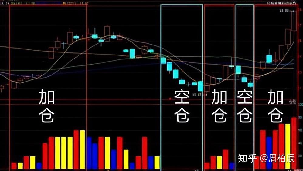 “中国龙眼之乡”广东茂名今年首批龙眼出口加拿大